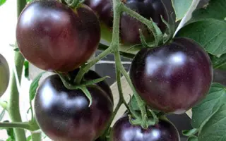 ГОЛУБАЯ ЛАГУНА