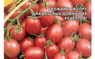 РОЗОВАЯ ЖЕМЧУЖИНА