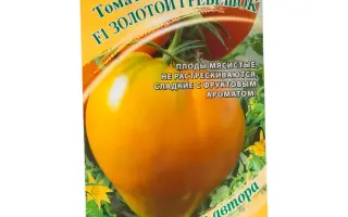 ЗОЛОТОЙ ГРЕБЕШОК