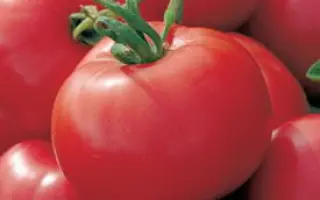 ЕЛИЗАВЕТИНСКИЙ