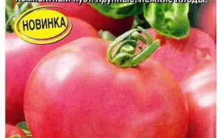 ТАМБОВСКИЙ ВОЛК