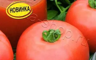 КРАСНАЯ АРМИЯ