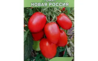 НОВАЯ РОССИЯ