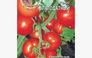 БЛАГОДАТНЫЙ