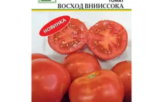 ВОСХОД ВНИИССОКА