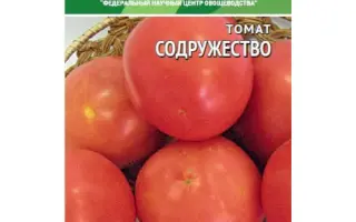 СОДРУЖЕСТВО