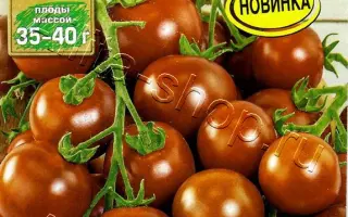 ЧЕРНАЯ ЖЕМЧУЖИНА