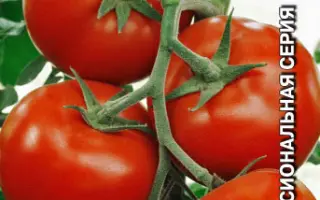 ЕКАТЕРИНА ВЕЛИКАЯ