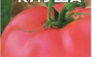 СУПЕРКЛУША