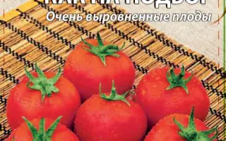 КАК НА ПОДБОР