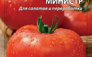 МИНИСТР