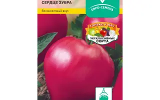 СЕРДЦЕ ЗУБРА