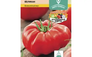 ЦАРСКОСЕЛЬСКИЙ ВЕЛИКАН