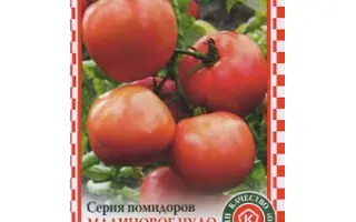 МАЛИНОВЫЙ ЗАЙКА