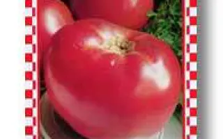 МАЛИНОВАЯ МЕЧТА