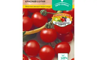 КРАСНАЯ СОТНЯ