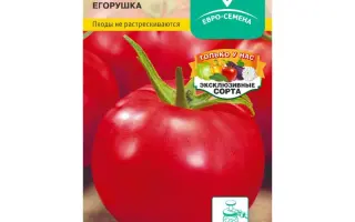 ЕГОРУШКА