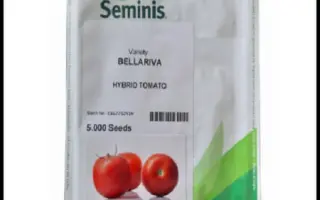 БЕЛЛАРИВА