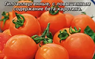 СМАЙЛИК
