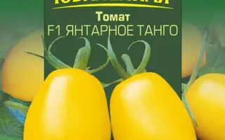 ЯНТАРНОЕ ТАНГО