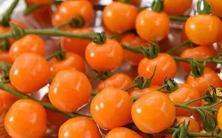 ОРАНЖЕВАЯ ГИРЛЯНДА