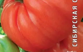 МЕЧТА ВЕЛИКАНА