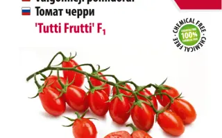 ТУТТИ ФРУТТИ