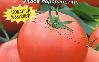 СЫТЫЙ ПАПА