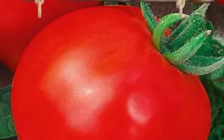 СЛАДКОЕ СЕРДЕЧКО