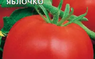 РАЙСКОЕ ЯБЛОЧКО