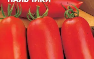 ДЕТСКИЕ ПАЛЬЧИКИ