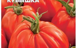 ПОЛНАЯ КУБЫШКА