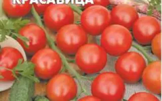 ЮЖНАЯ КРАСАВИЦА