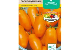 СОЛНЕЧНЫЙ ЛУЧИК