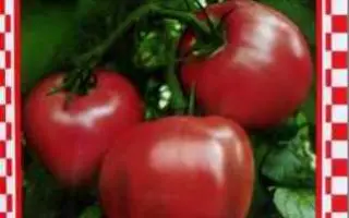 МАЛИНОВЫЙ РАЙ