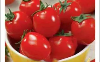 СЛАДКИЙ МАЛЫШ