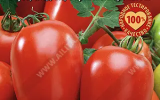 РУБИНОВЫЙ КУЛОН