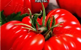 КОРОЛЕВСКИЙ ПОДАРОК