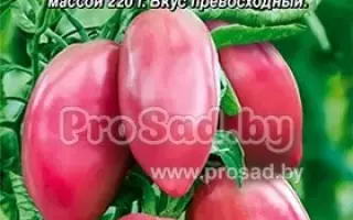 СЛАДКИЙ БОЧОНОК