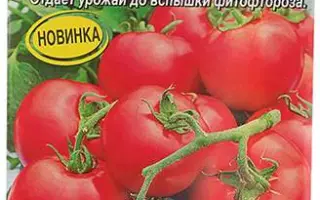 ТАЕЖНЫЙ РУБИН