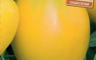 ЗОЛОТАЯ ИСКРА