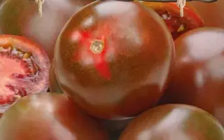 ШОКОЛАДНЫЕ ЯБЛОЧКИ