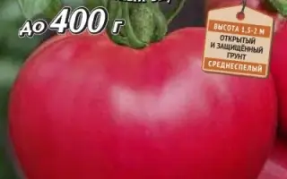 МАЛИНОВЫЙ РАССВЕТ