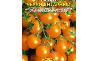 ЧЕРРИ ЯНТАРНЫЙ