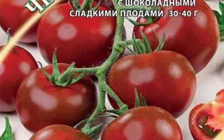 ЧЕРНЫЙ ЖЕМЧУГ