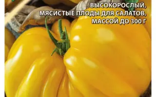 ВЕСЕЛАЯ СОСЕДКА