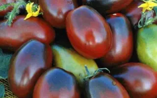 МОНИСТО ШОКОЛАДНОЕ