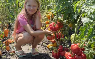 ВЕСЕЛЫЙ СОСЕД