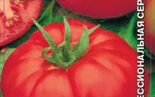 ВЛАДИМИР ВЕЛИКИЙ