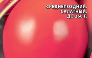 РОЗОВЫЙ ДЕСЕРТ